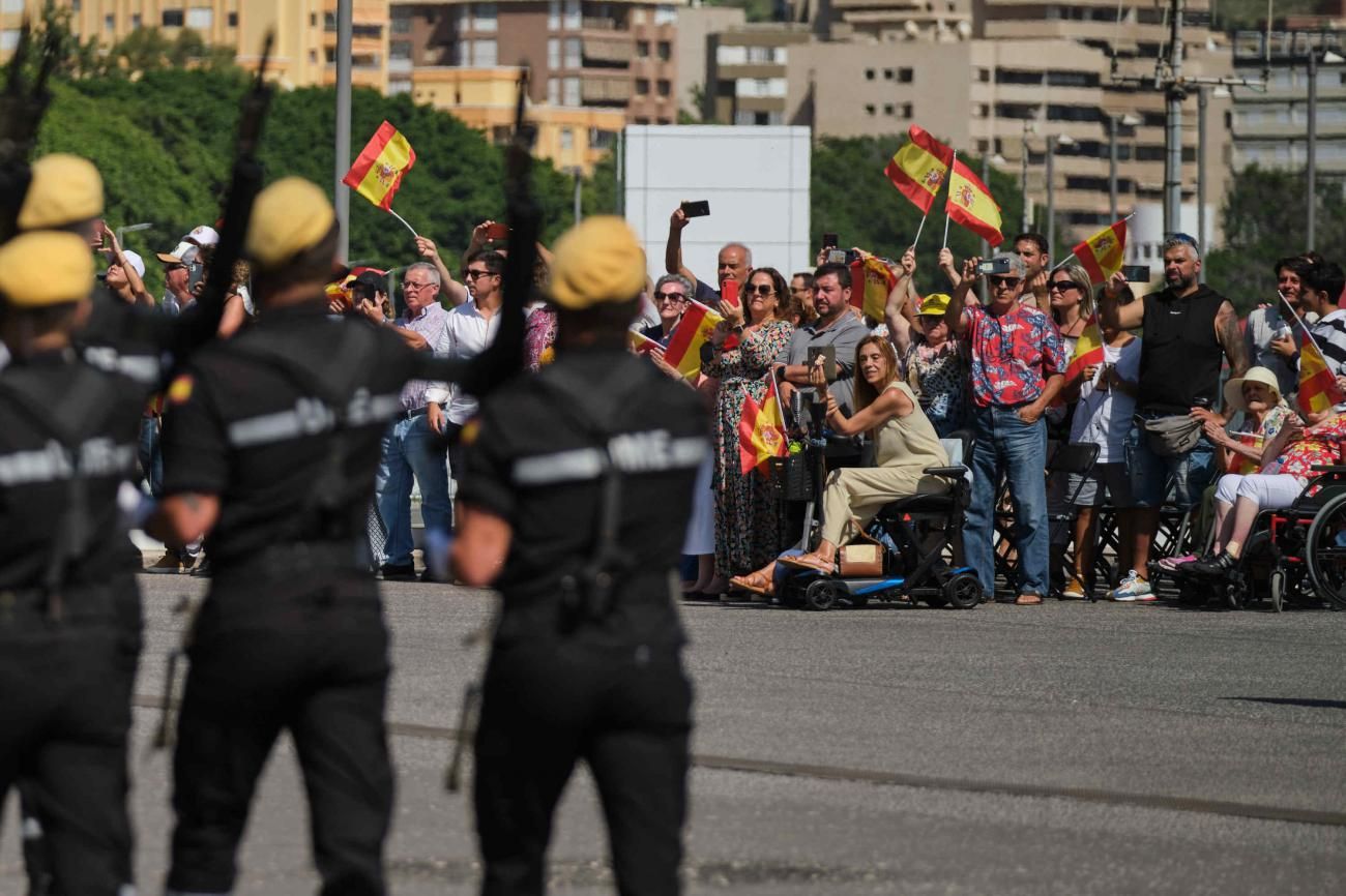 Jura de Bandera de civiles en Santa Cruz