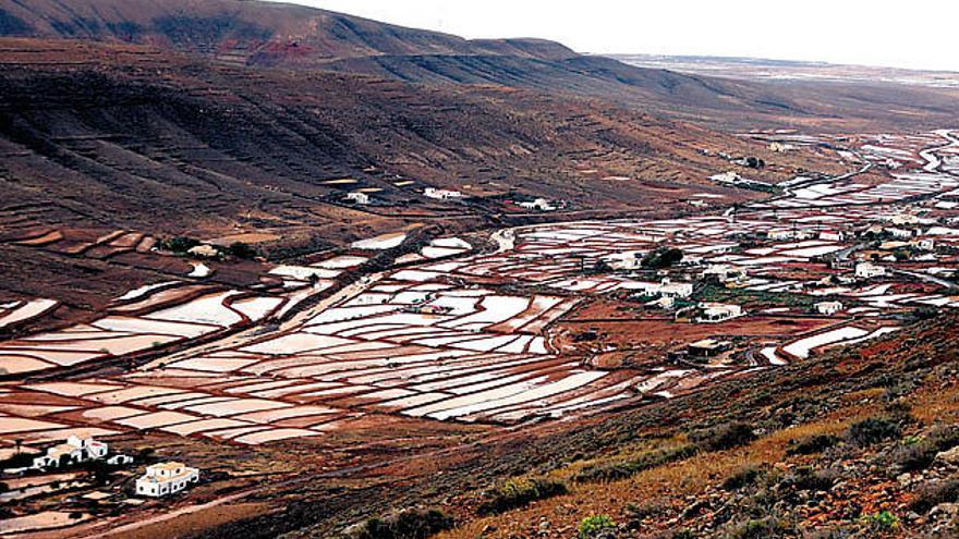 Espectacular imagen del barranco de Guisguey con numerosas gavias llenas de agua de lluvia.  GABRIEL FUSELLI