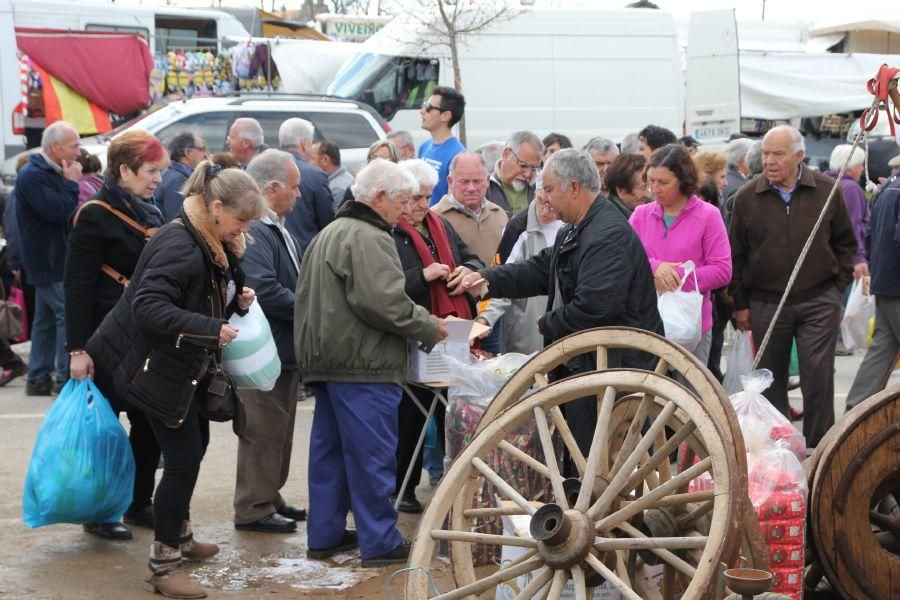 Romería Virgen de la Luz en Moveros