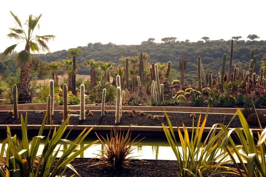 Desert City en Madrid