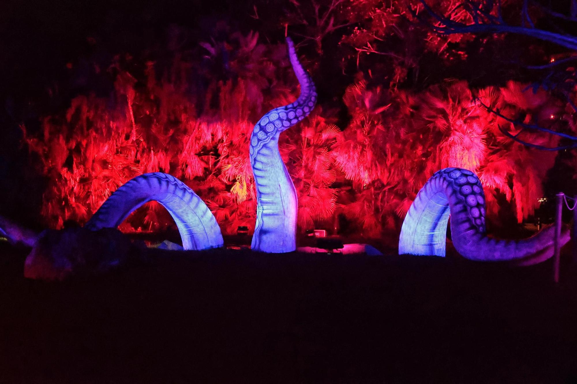 Montaje de Naturaleza Encendida en el Palmetum