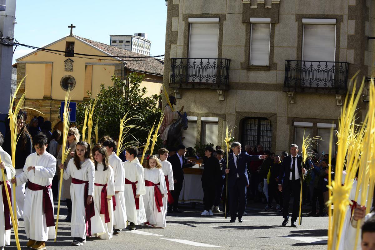 GALERIA | Procesión de Jesús en la Borriquilla en Benavente GALERIA | Procesión de Jesús en la Borriquilla en Benavente