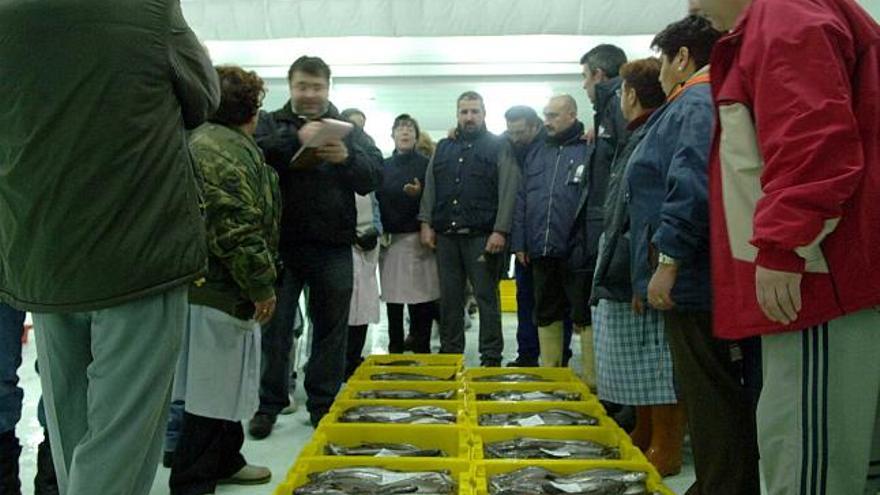 Subasta de pescado en la lonja de A Coruña. / fran martínez