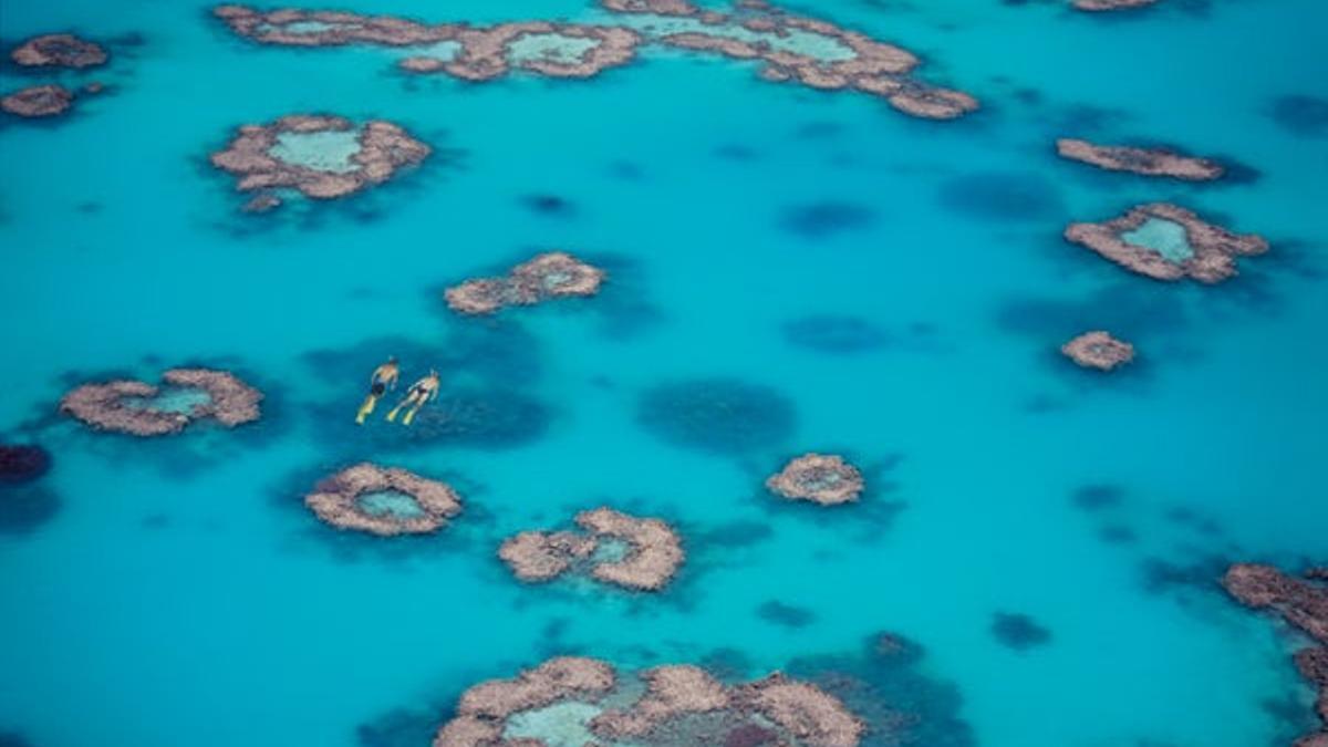 Invierno en la Gran Barrera de Coral de Australia