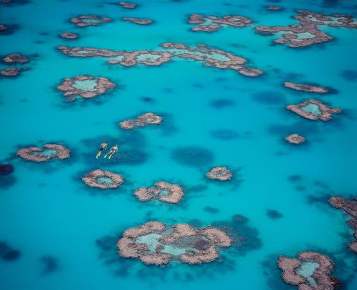 La isla de Heron es un pequeño paraíso en la Gran Barrera de Coral de 300 metros de ancho por 800 de largo. En la foto, pareja practicando snorkel.