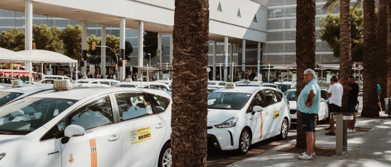 El Govern quiere que los taxis de un municipio puedan cargar en otro en caso de necesidad.