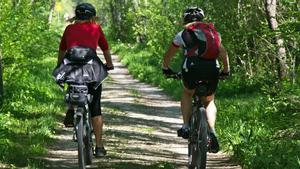 Personas con bicicletas por la montaña