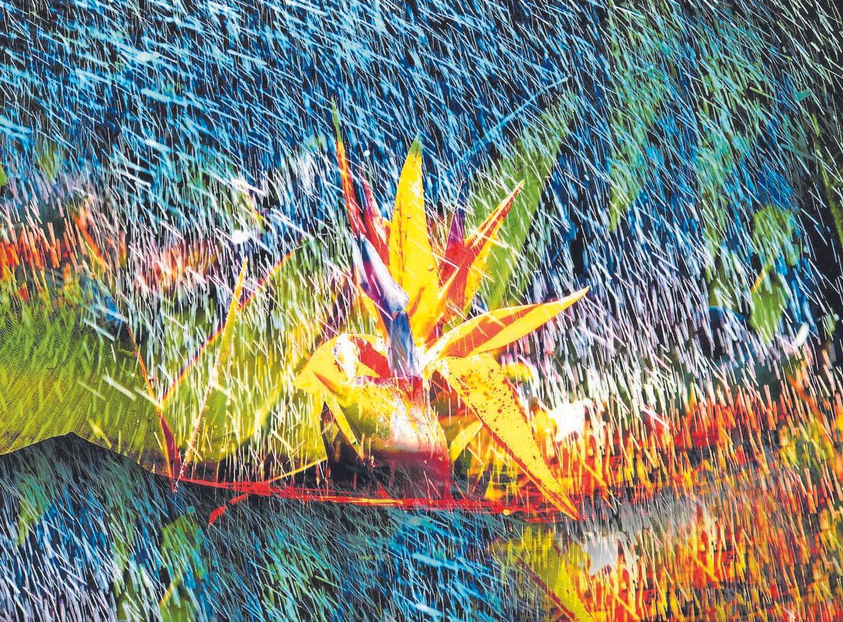 Imágenes de la serie ‘Mystic' de María Pisaca