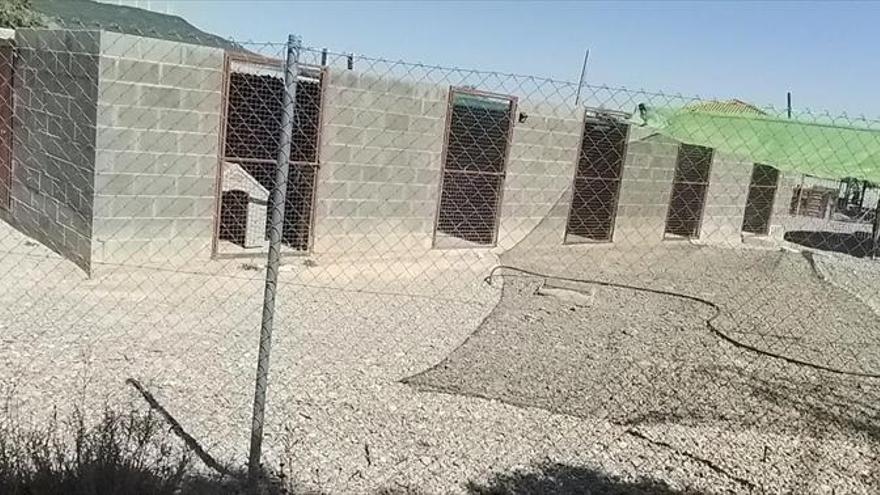 El consistorio acomete mejoras en el refugio municipal de perros