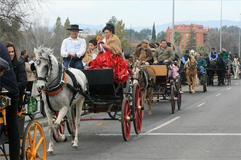 Marcha hípica por el Día de Andalucía