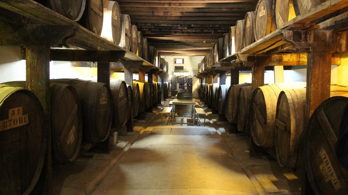 La zona goza de una gran tradición en la producción de vinos y aceites con DO València.