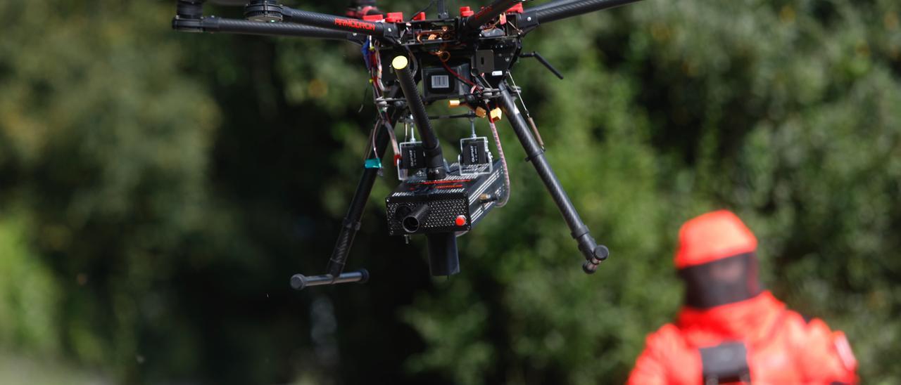 El dron que lucha contra la avispa asiática en Oviedo