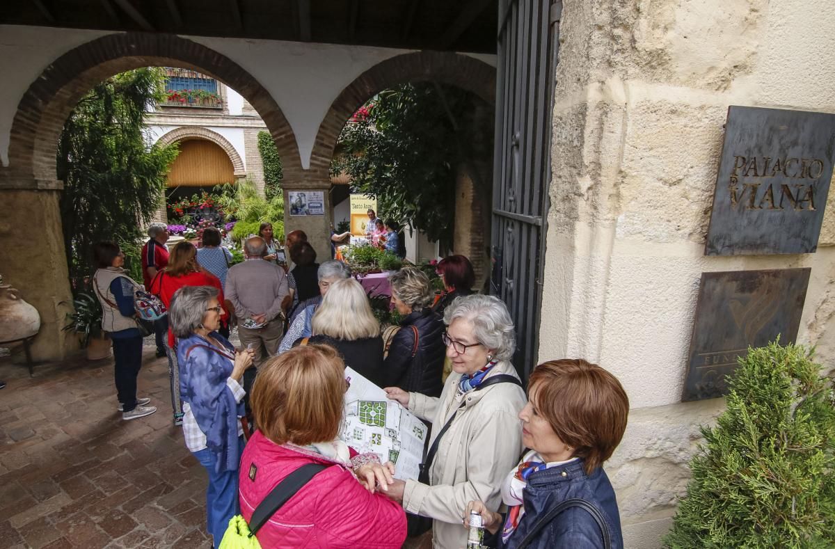 Los patios de Viana se abren a los visitantes del Mayo cordobés