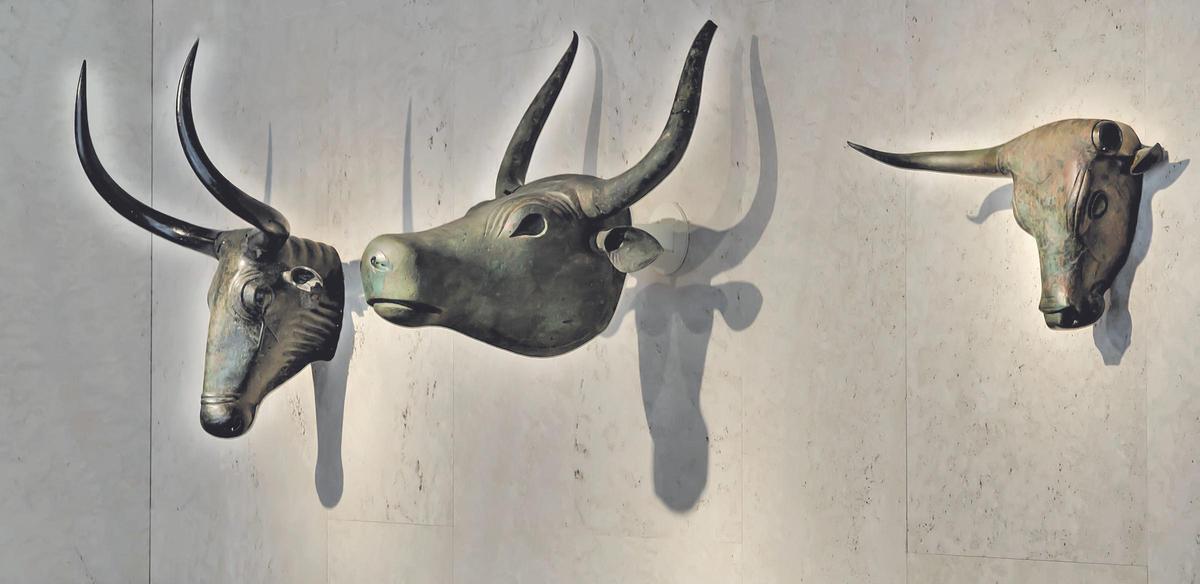 Los Bous de Costitx expuestos en el Museo Arqueológico Nacional.