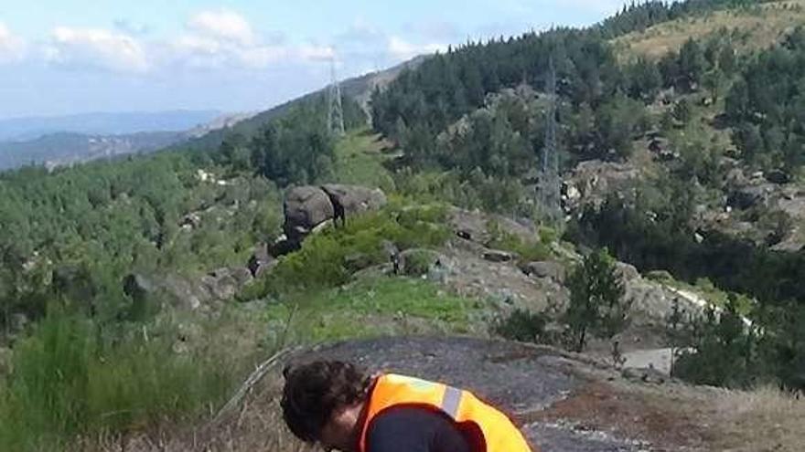 Arqueólogo con los trabajos de campo, ayer en Mos. // D.P.