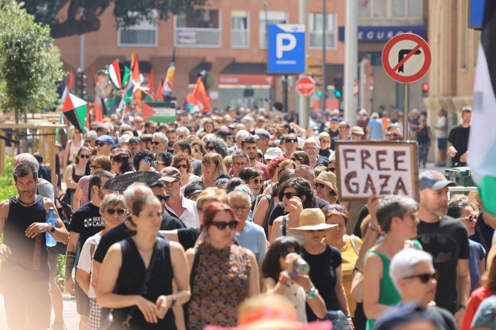 Manifestación a favor del pueblo palestino y la paz en Castellón