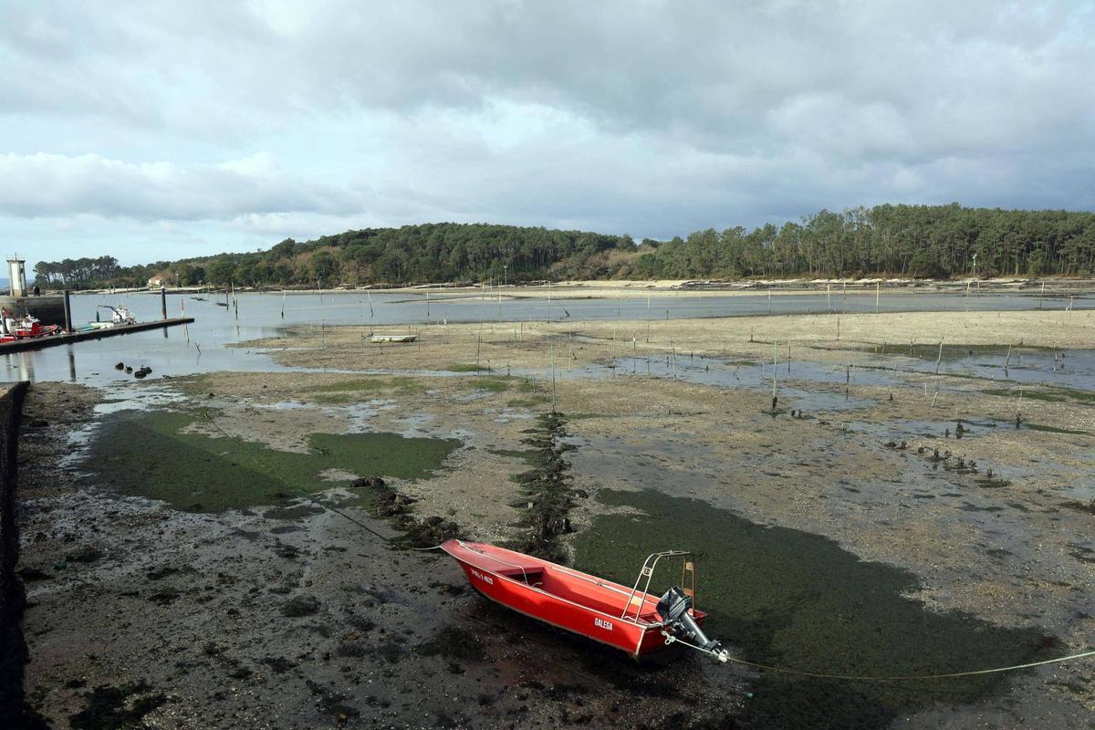 La ría asiste a las primeras "mareas vivas" del año.