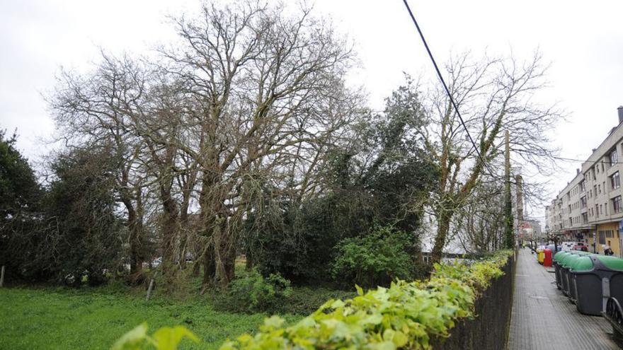 El terreno con acceso a la calle San Antón.