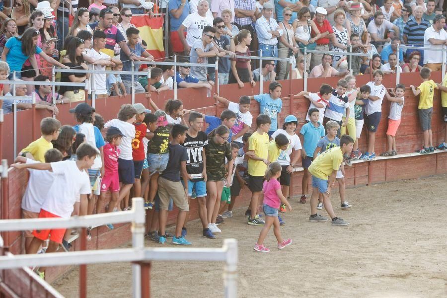Fiestas en Zamora: Recortes en Villalpando