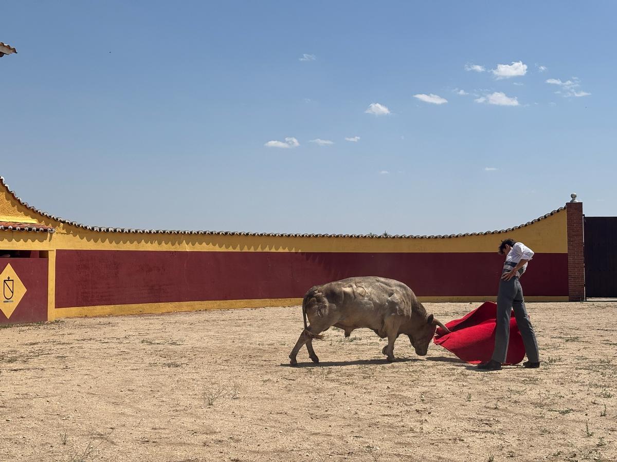 GALERÍA | Fiesta campera con el novillero Pepe Luis Cirugeda en "Toros Villalpando"