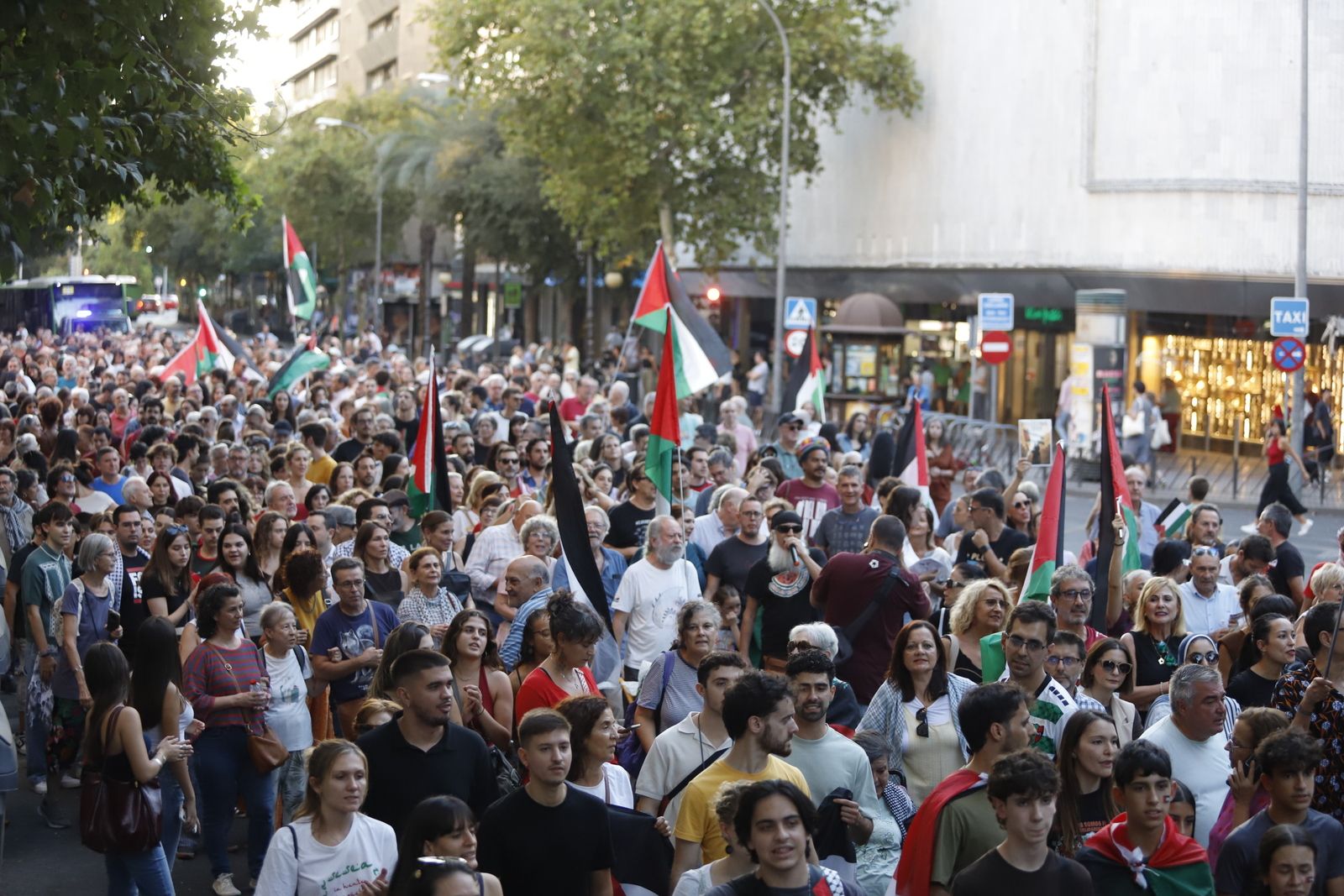 La manifestación por Palestina, en imágenes