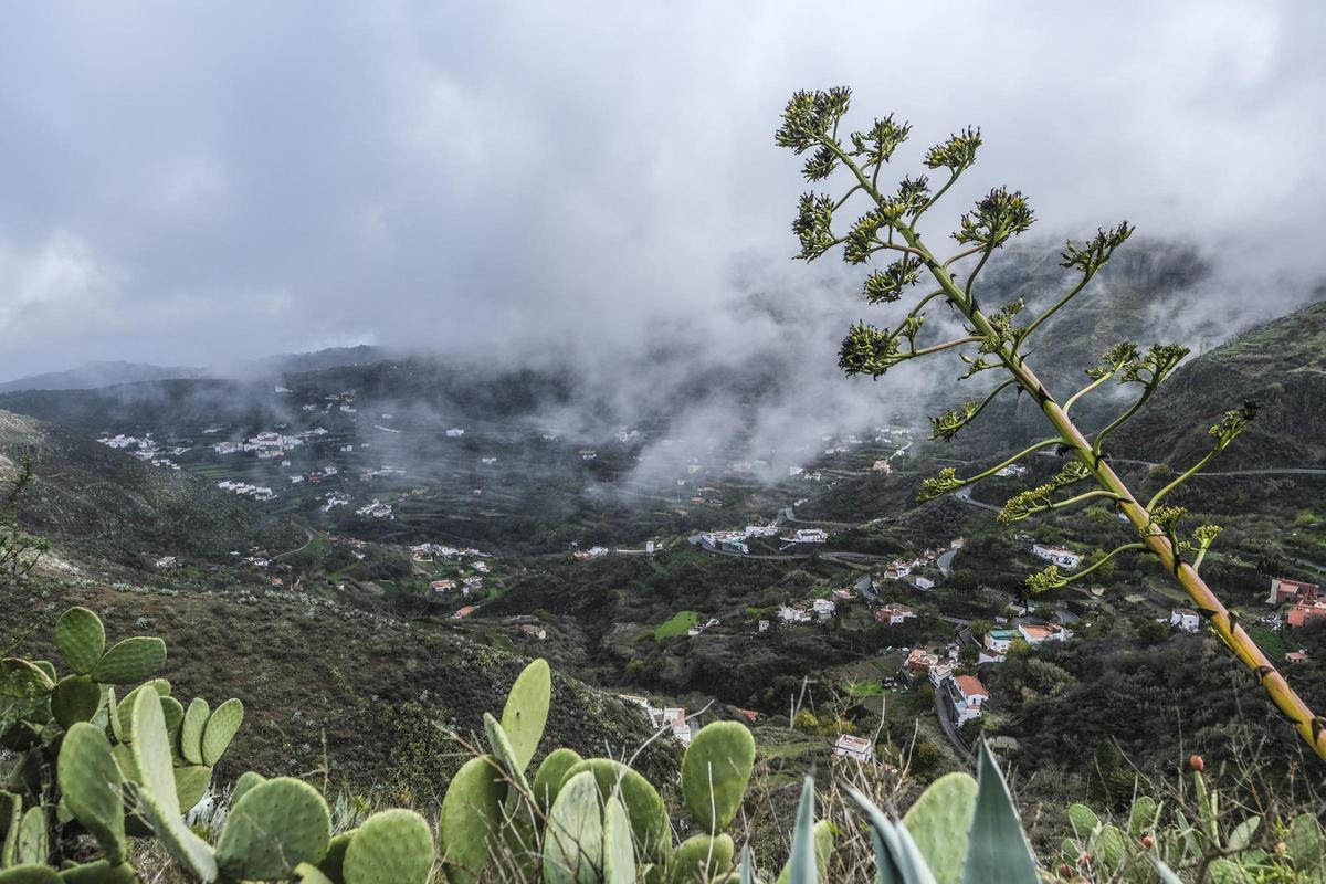 Vista de la cumbre de Gran Canaria.