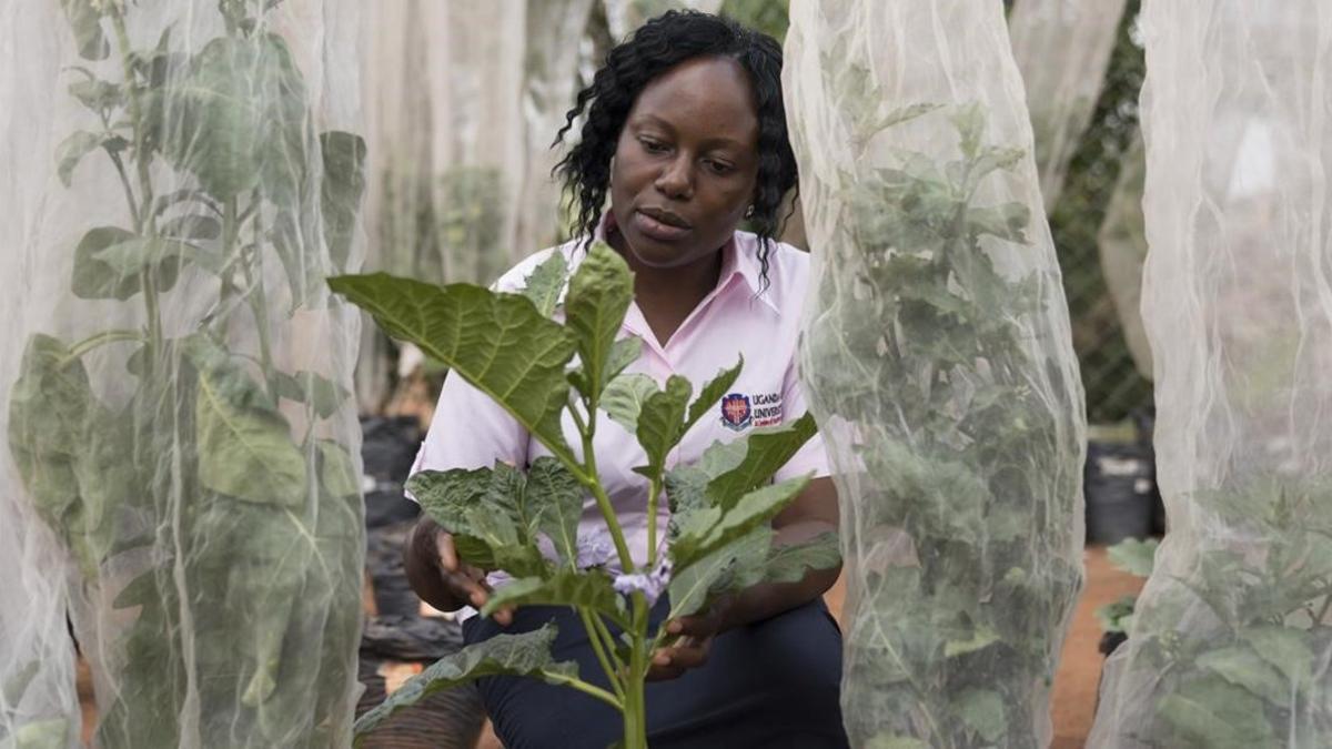 zentauroepp46941989 mukono  uganda   05 02 2019 african women scientists on the 190214142557