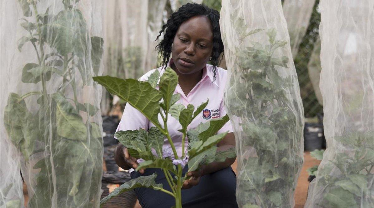 zentauroepp46941989 mukono  uganda   05 02 2019 african women scientists on the 190214142557