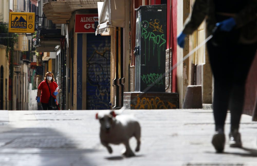 Viernes, 24 de abril | Málaga continúa en estado de alarma
