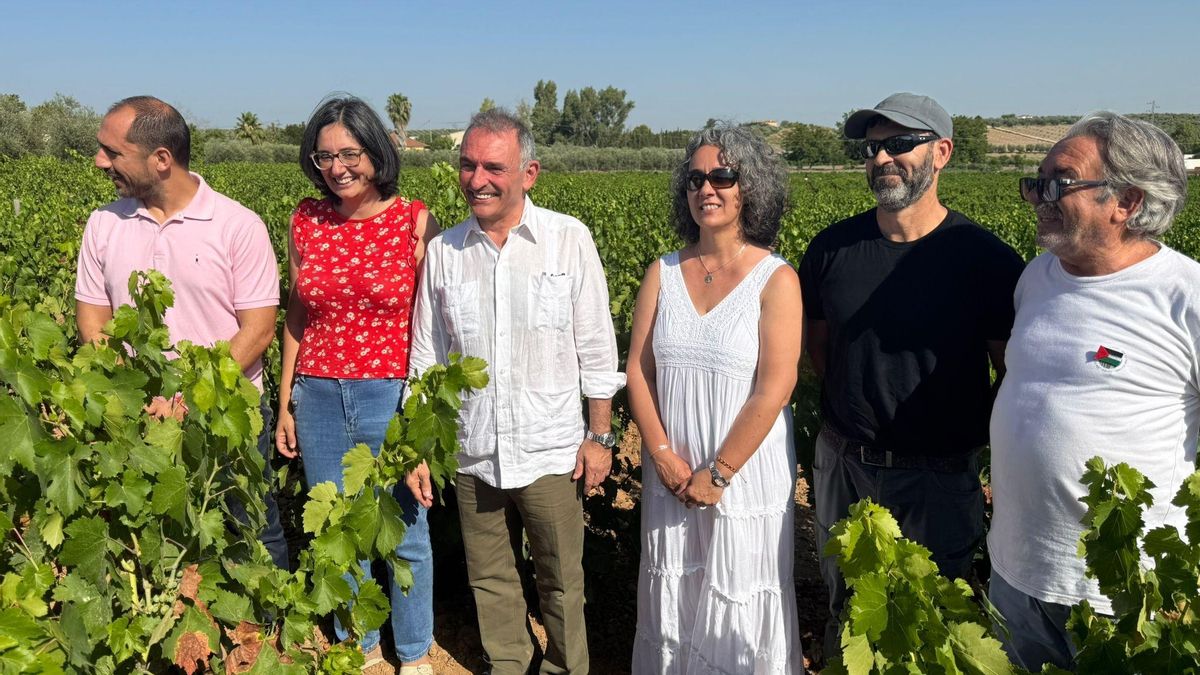 Visita del diputado Enrique Santiago a un viñedo de Montilla.