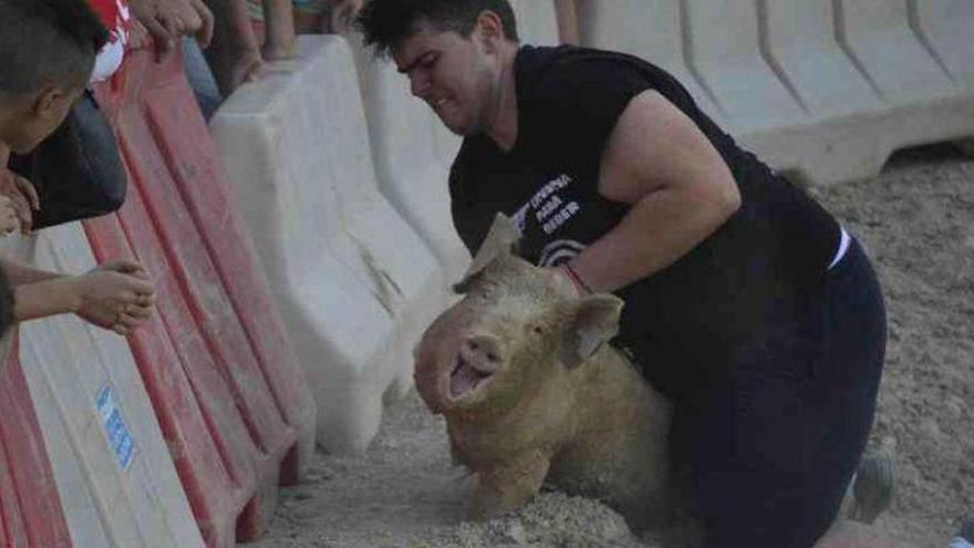 El hilo que recopila las tradiciones &quot;más vergonzosas&quot; con animales en España