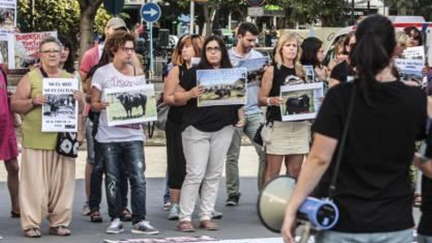 Un helicóptero y  150 agentes vigilarán hoy el Toro de la Vega