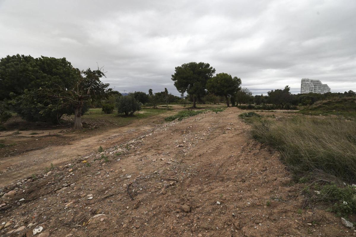 Estado que presenta ahora la zona.