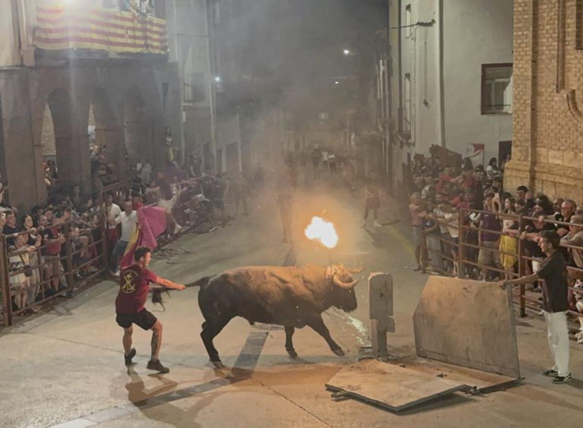 Los festejos taurinos protagonizaron la programación.  | SERVICIO ESPECIAL