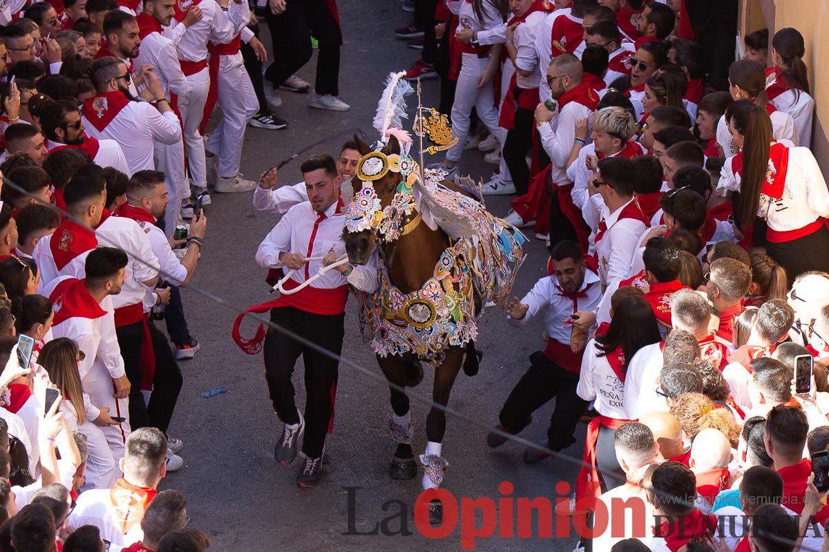 Caballos del Vino en la cuesta de la Simona