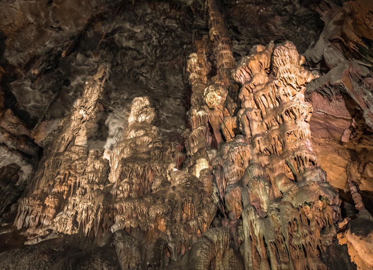 Espeleotemas en la Cueva del Canelobre con morfologías de estalagmitas, doseles y columnas (Cabeço d'Or - Cuevas del Canelobre)