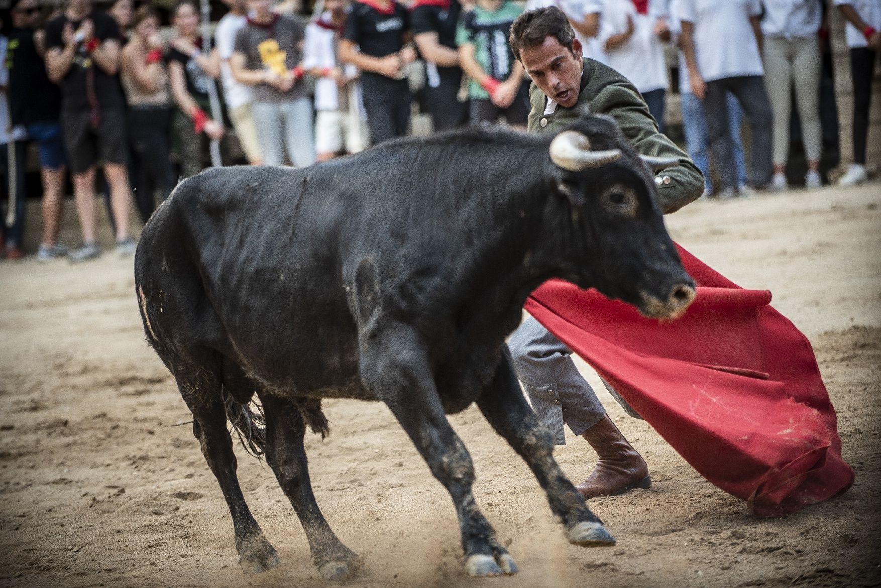 Corre de bous de Cardona