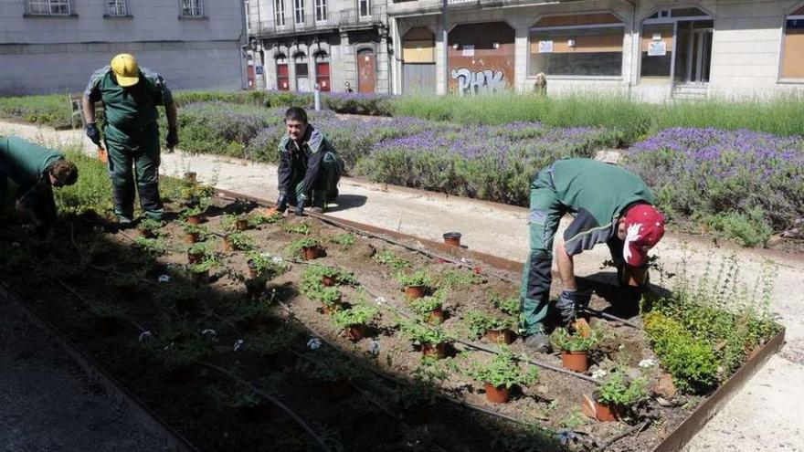 Trabajos de plantación en el jardín del Asilo de Caldas. // Noé Parga