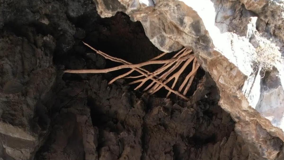 Cueva del Cañizo