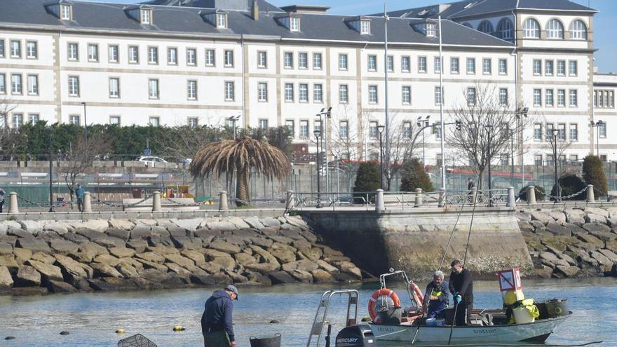 Los mariscadores de A Coruña extraen almeja reloj contaminada de los bancos de O Parrote