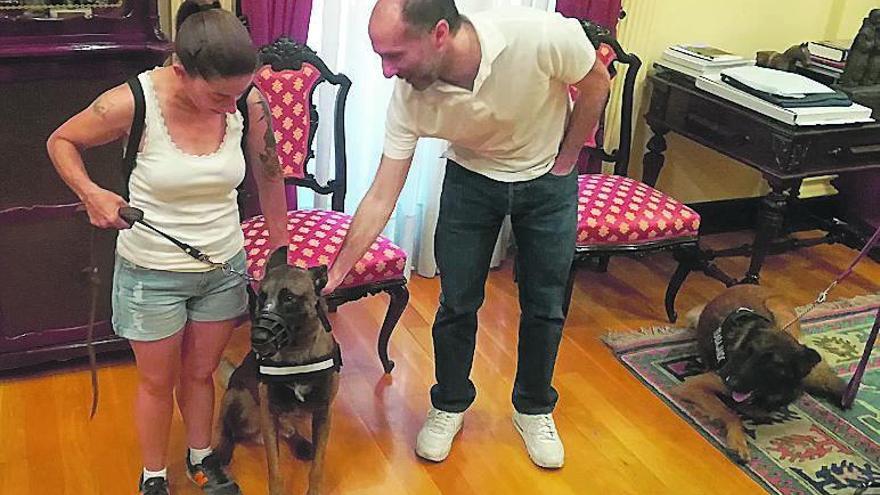 Gali', el perro guardaespaldas de una maltratada - Faro de Vigo
