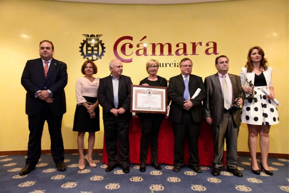 Entrega de los Premios Mercurio