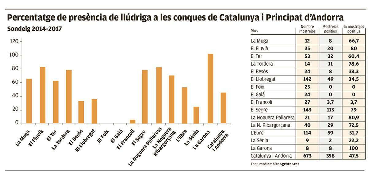 Percentatge de presència de llúdriga a les conques de Catalunya i Principat d’Andorra