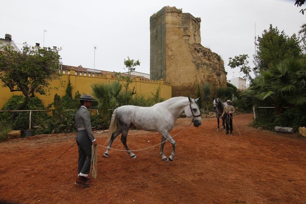 Cabalcor puede con la lluvia y el Covid