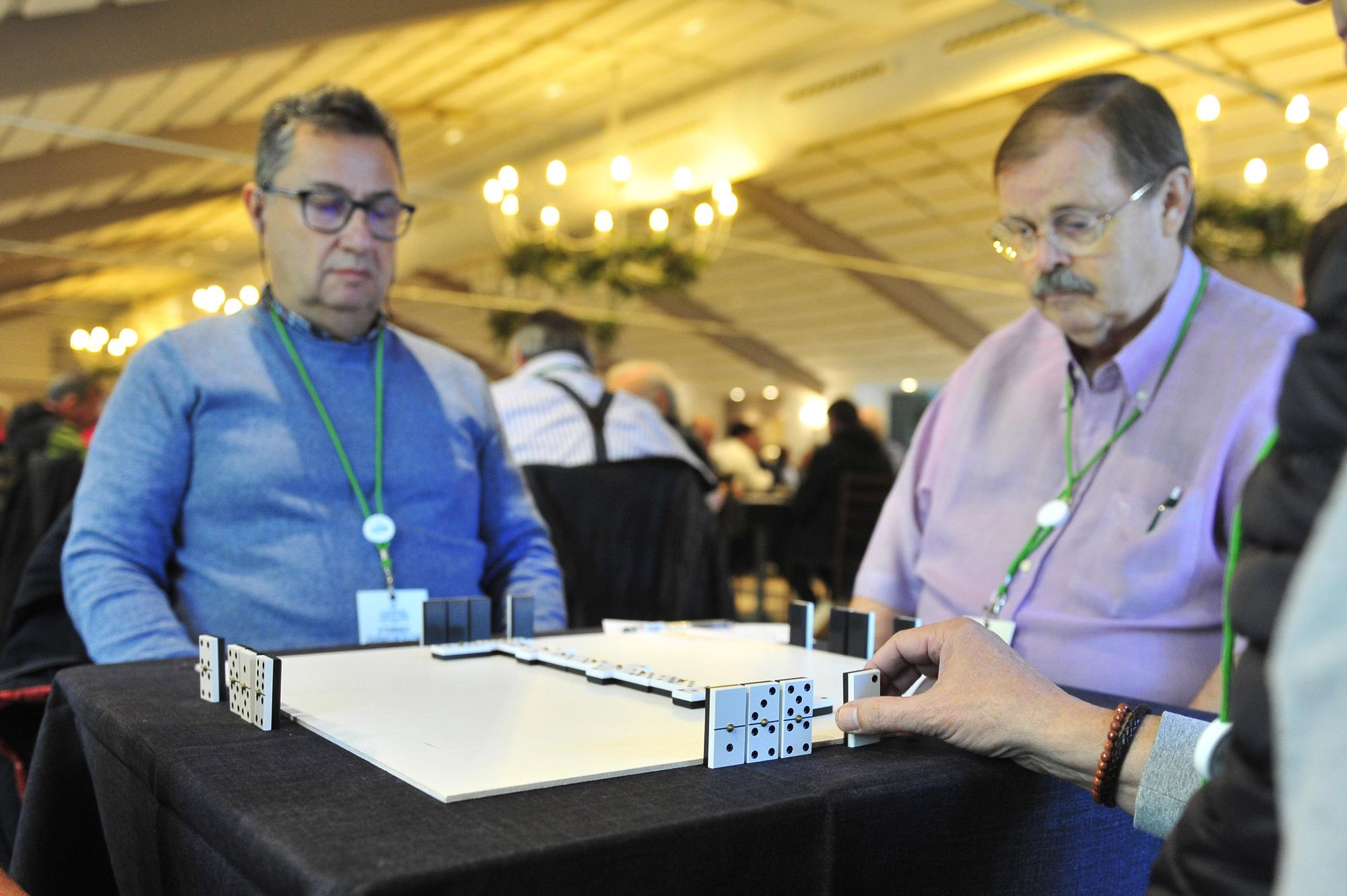 Segundo Torneo de Dominó Ciudad de Elche