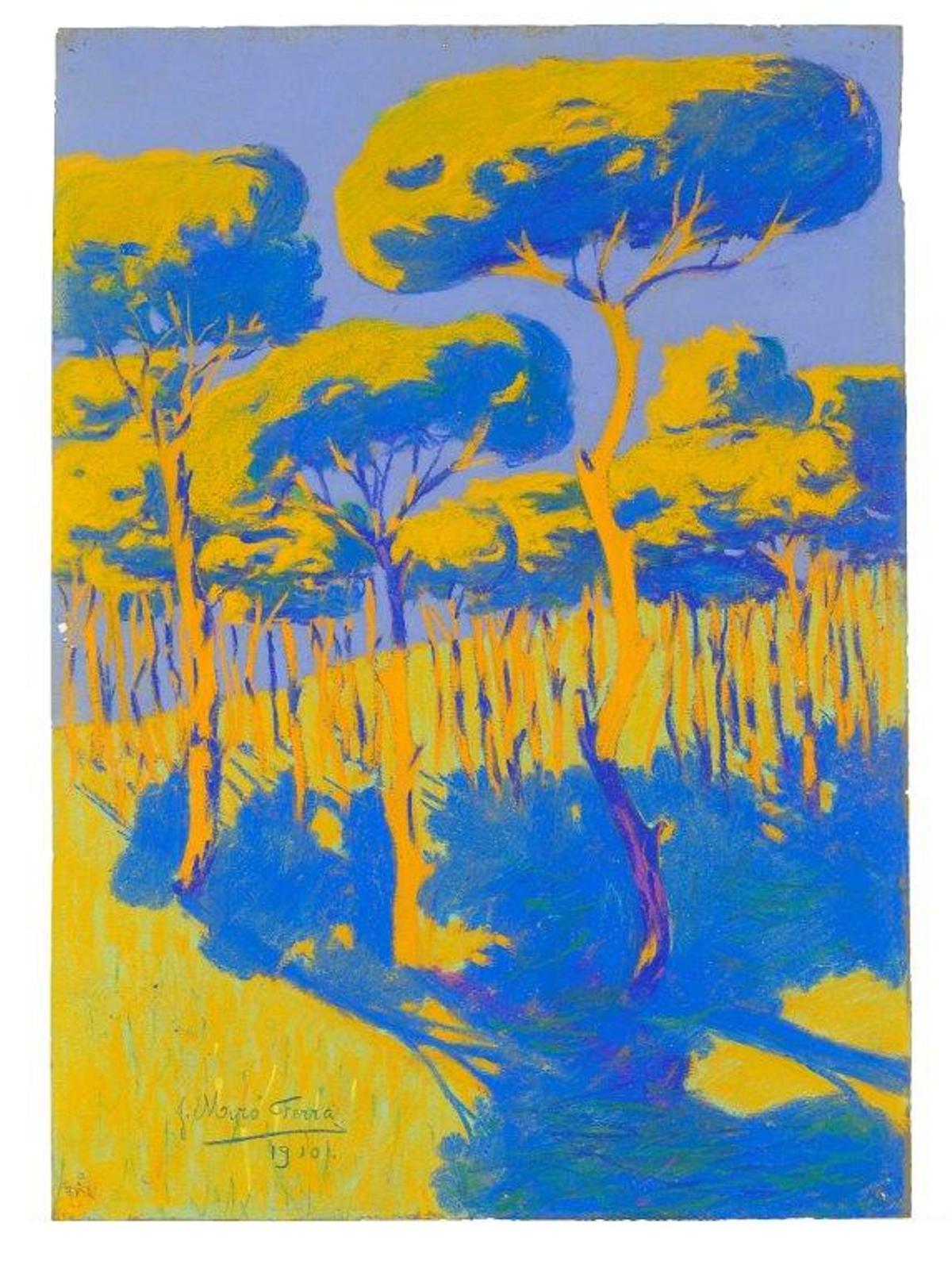 'Bosc de Bellver' (1910), de Joan Miró
