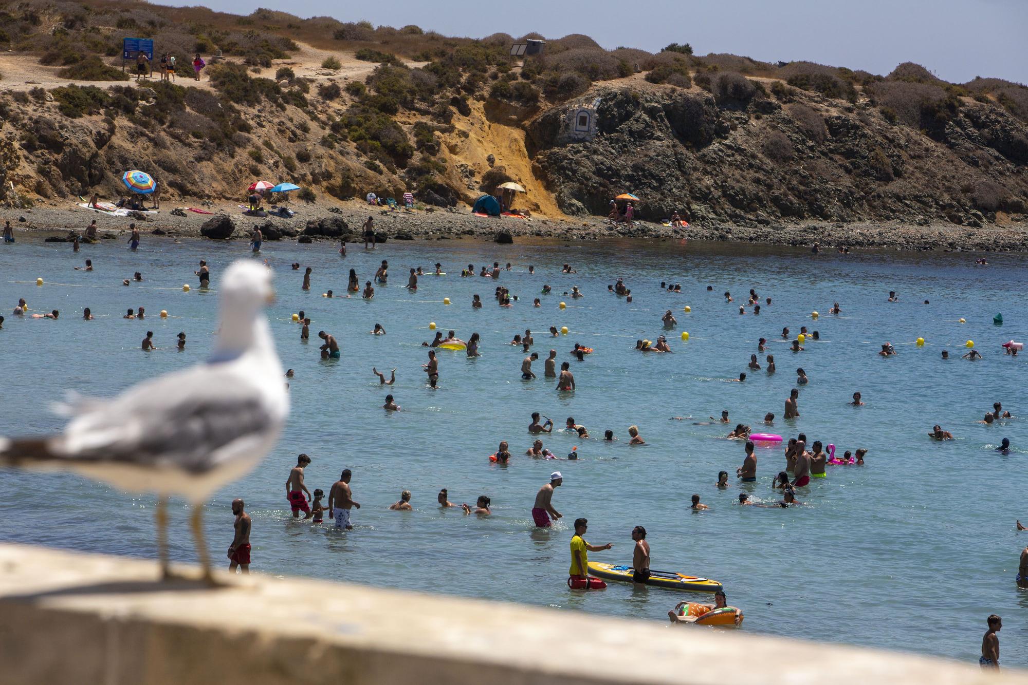 Tabarca, al 100% este verano