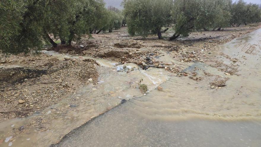 Primera estimación del daño al campo cordobés por los temporales: la Junta calcula pérdidas de 500 millones