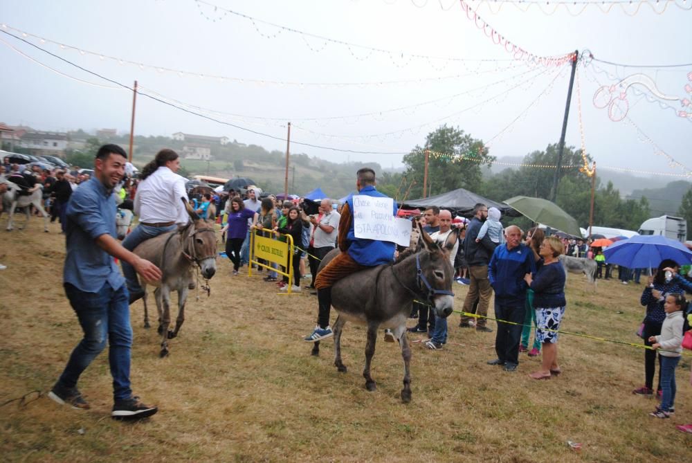 Carrera de burros