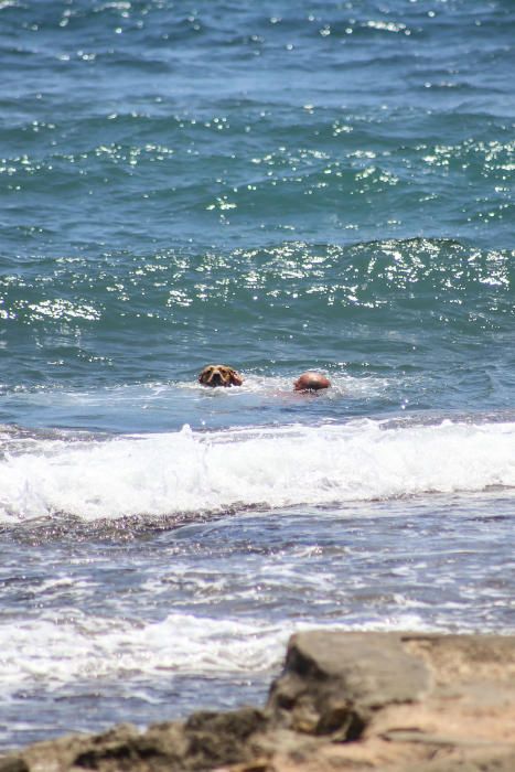 Los bañistas están acudiendo con perros a Punta Margalla y Cala del Moro, las dos playas autorizadas para perros, sin que el Ayuntamiento las haya señalizado todavía.